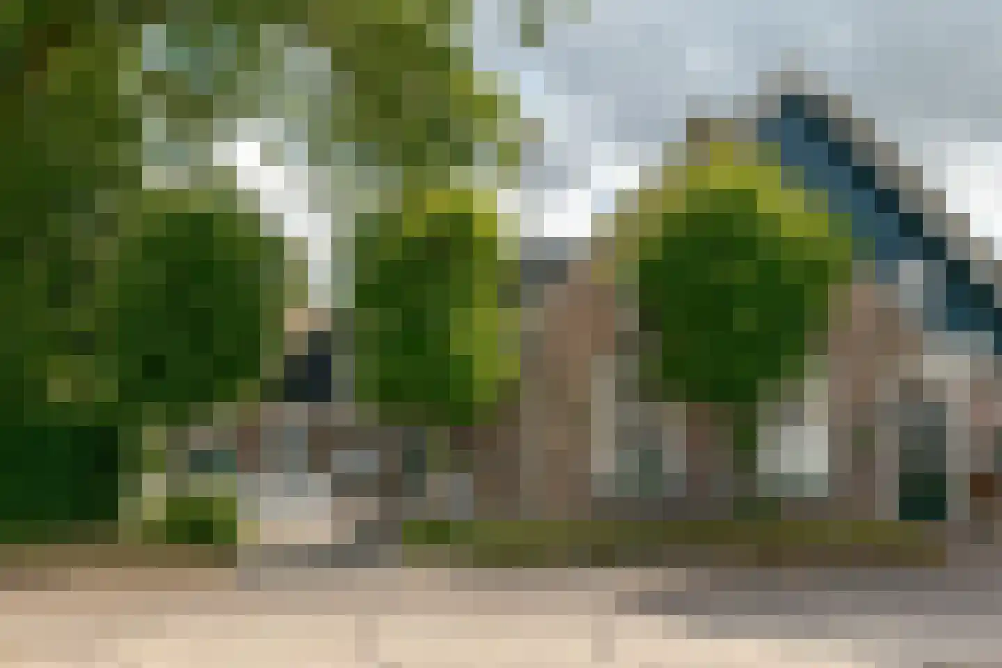 Molenwijk 3 Smilde thumbnail 8