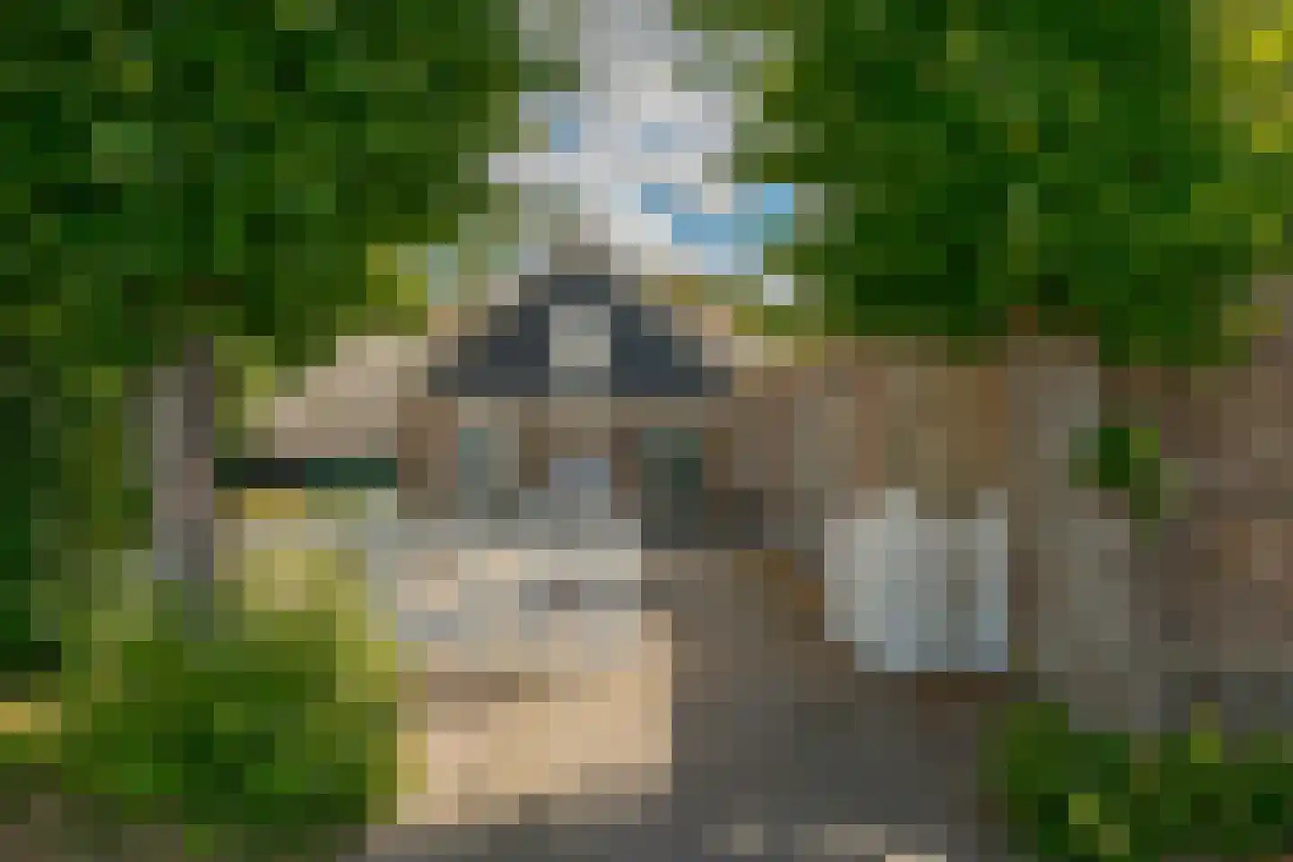 Molenwijk 3 Smilde thumbnail 9