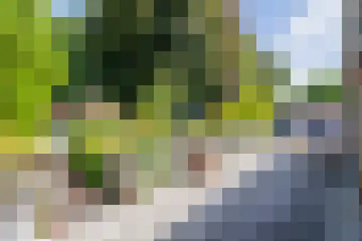 Molenwijk 37 Stadskanaal thumbnail 34
