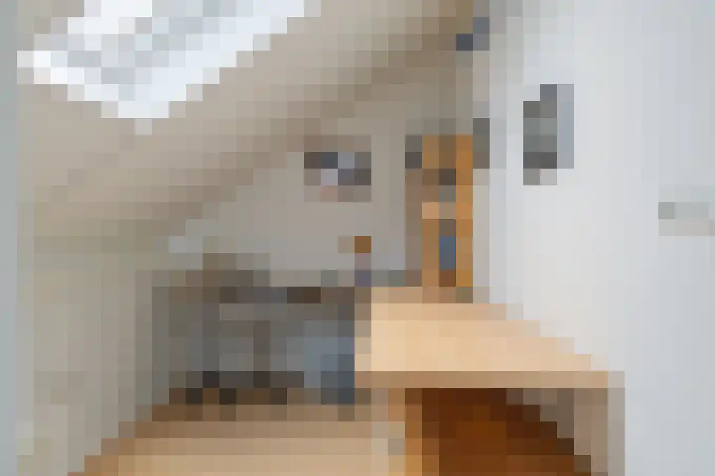 Molenwijk OZ 34 Klazienaveen thumbnail 31
