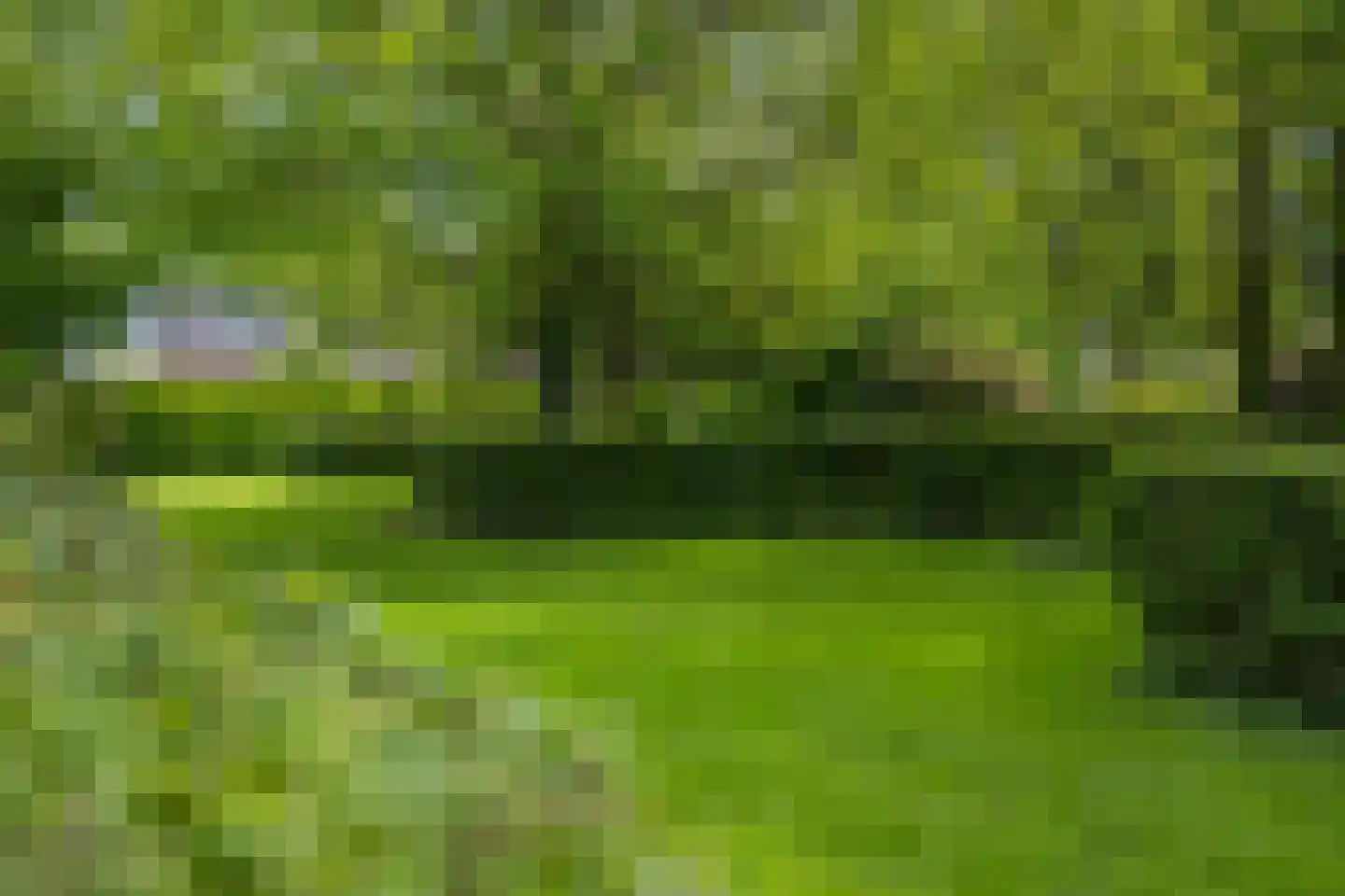 Molenwijk OZ 34 Klazienaveen thumbnail 44