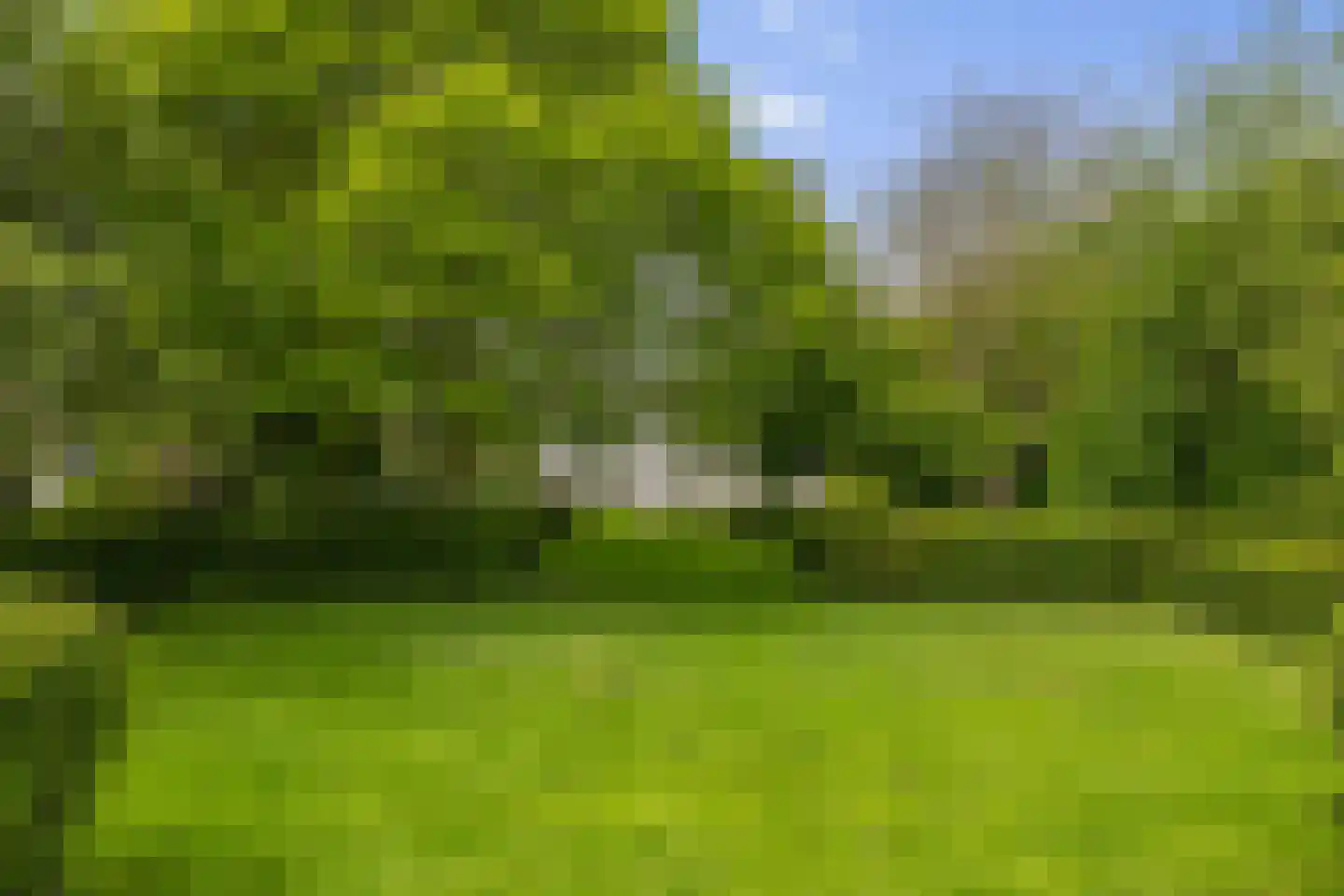 Molenwijk OZ 34 Klazienaveen thumbnail 45