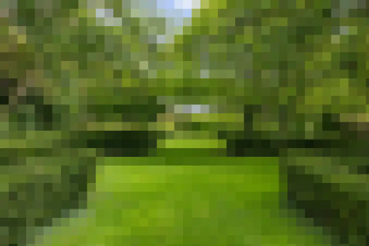 Molenwijk OZ 34 Klazienaveen thumbnail 46