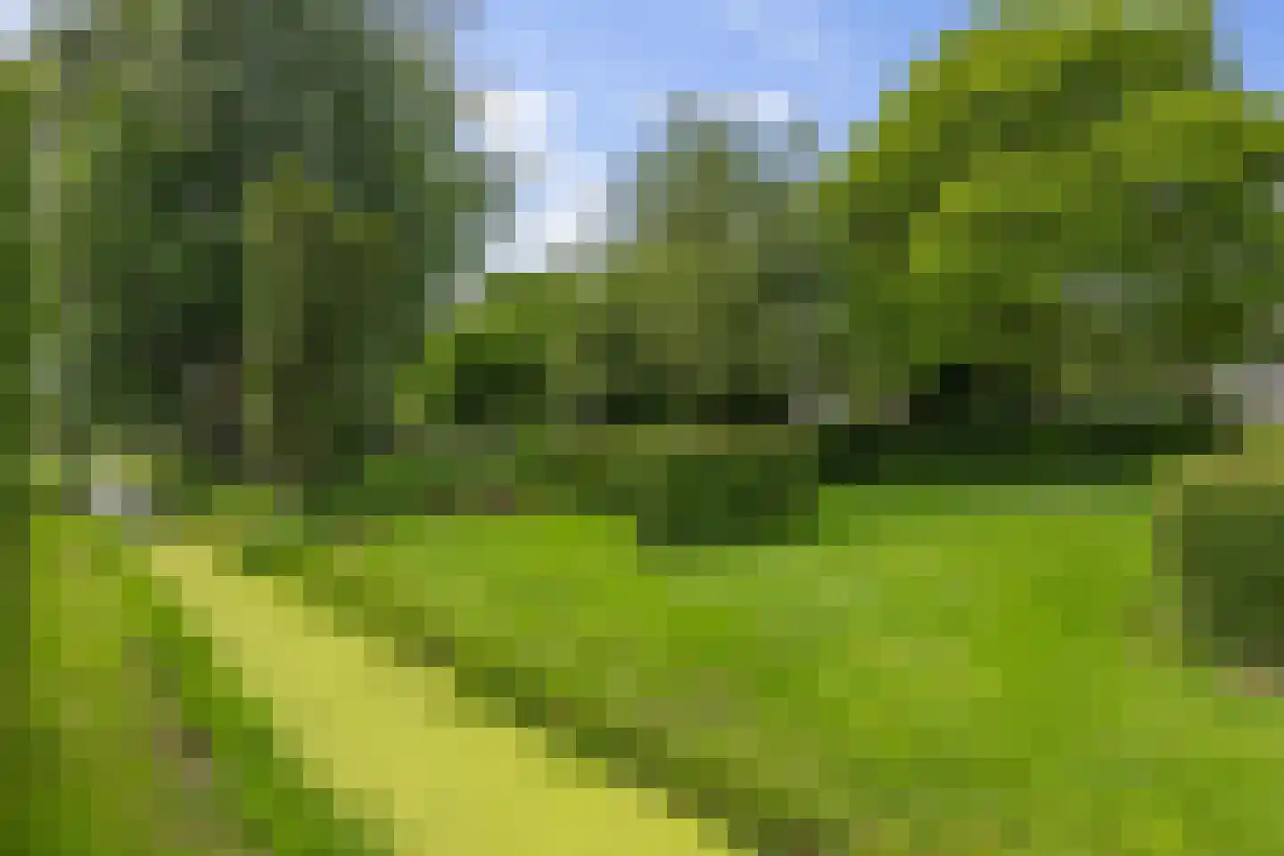 Molenwijk OZ 34 Klazienaveen thumbnail 47