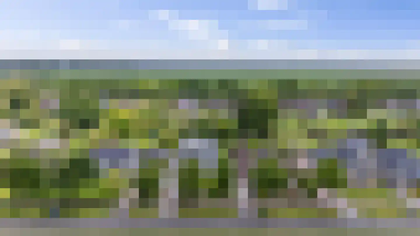 Molenwijk OZ 34 Klazienaveen thumbnail 56