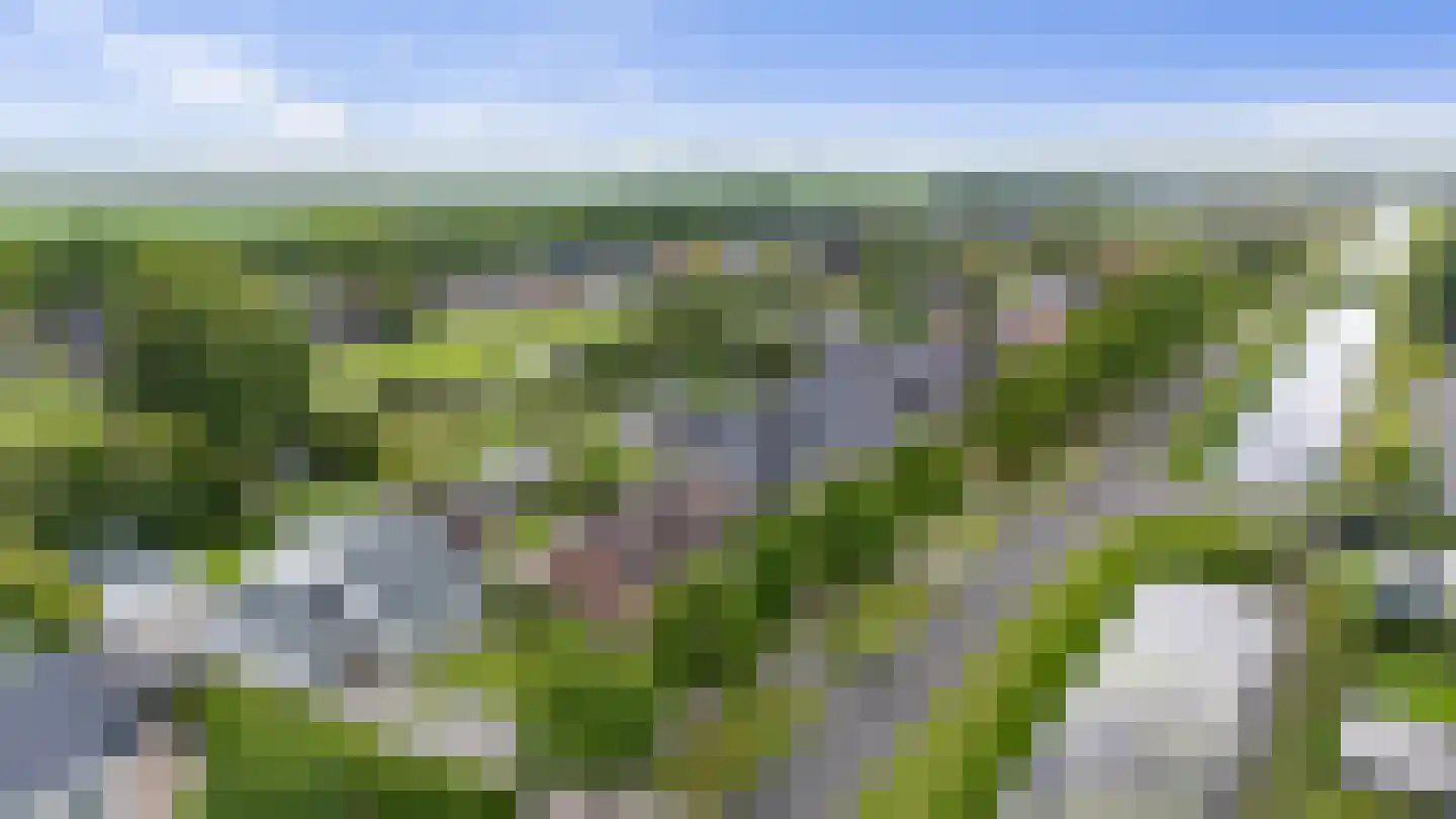 Molenwijk OZ 34 Klazienaveen thumbnail 57