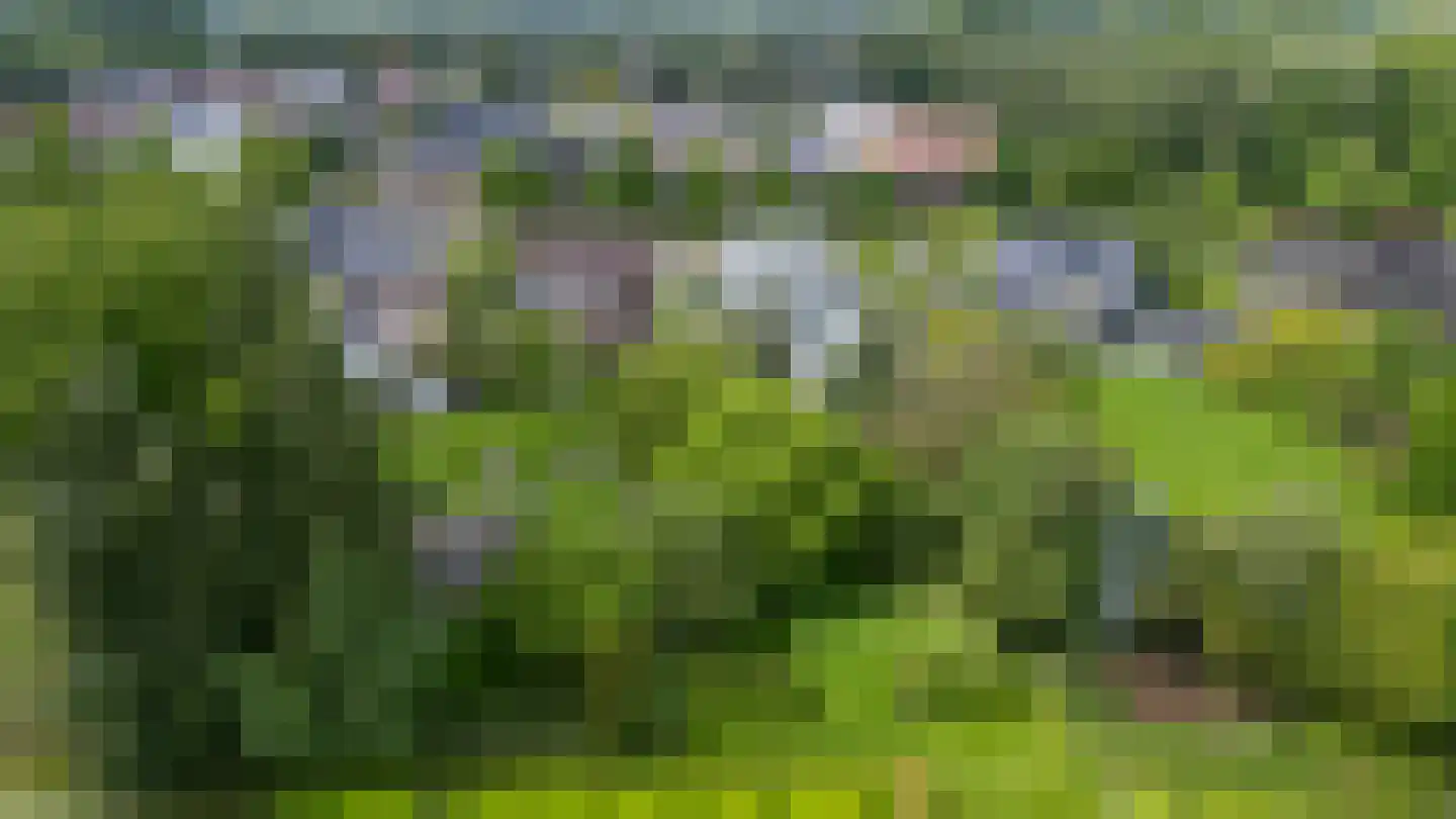 Molenwijk OZ 34 Klazienaveen thumbnail 61