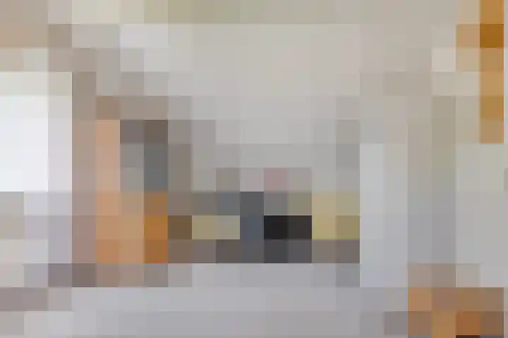 Molenwijk OZ 35 Klazienaveen thumbnail 13