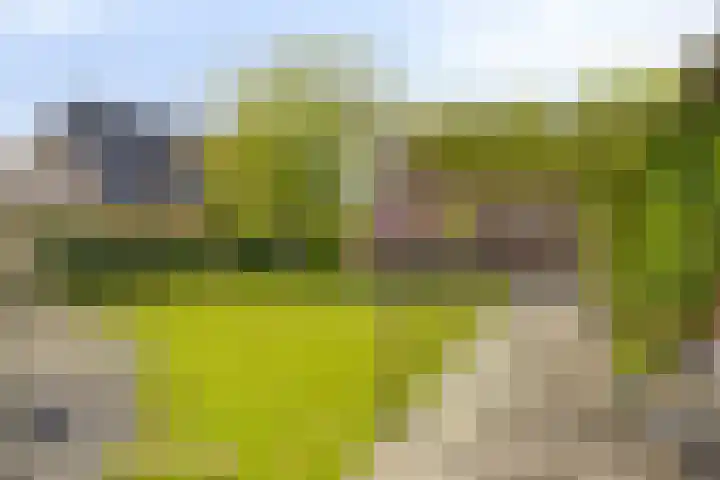 Molenwijk OZ 35 Klazienaveen thumbnail 14