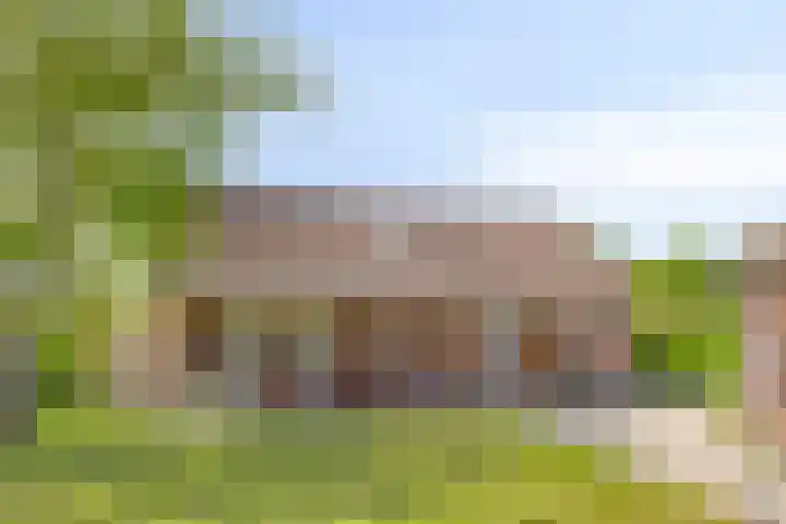 Molenwijk OZ 35 Klazienaveen thumbnail 15
