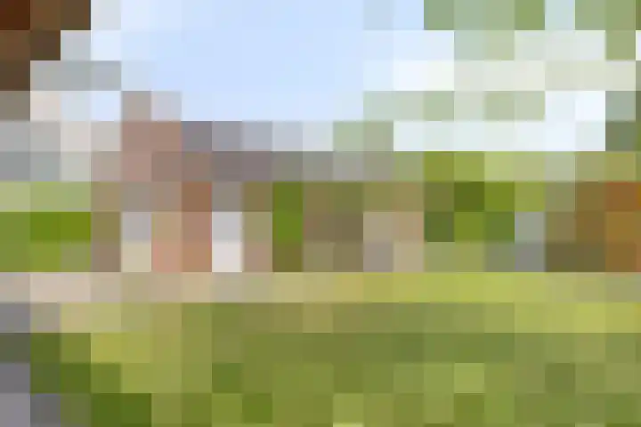 Molenwijk OZ 35 Klazienaveen thumbnail 16