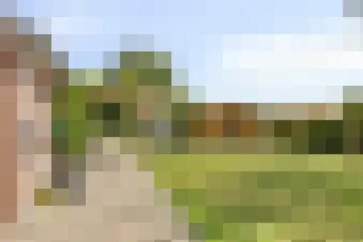 Molenwijk OZ 35 Klazienaveen thumbnail 17