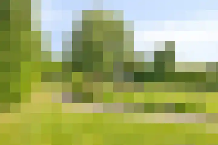 Molenwijk OZ 35 Klazienaveen thumbnail 18