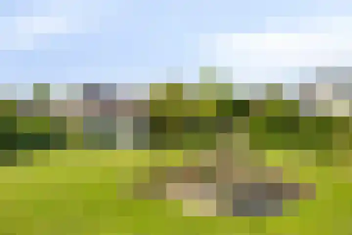 Molenwijk OZ 35 Klazienaveen thumbnail 19