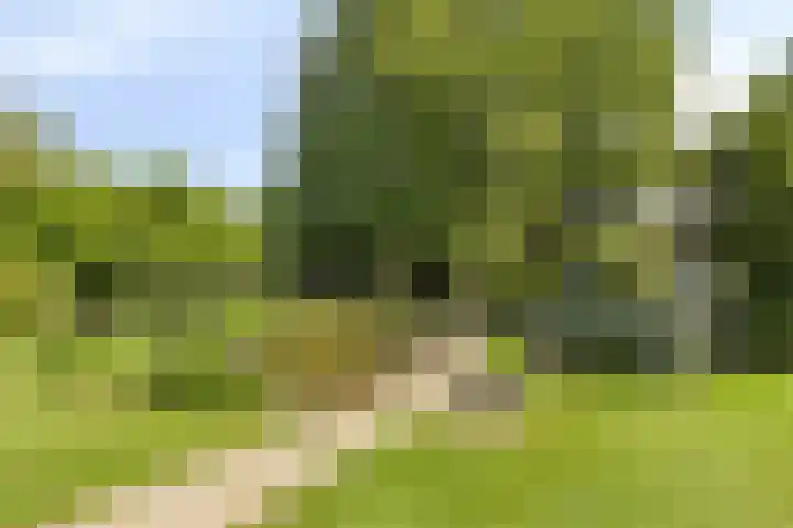 Molenwijk OZ 35 Klazienaveen thumbnail 20