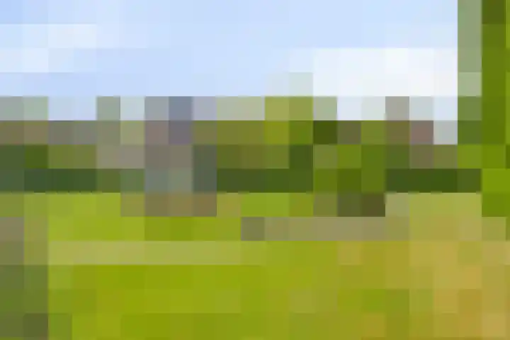 Molenwijk OZ 35 Klazienaveen thumbnail 21