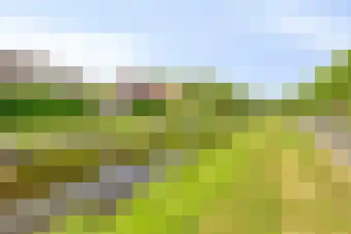Molenwijk OZ 35 Klazienaveen thumbnail 22