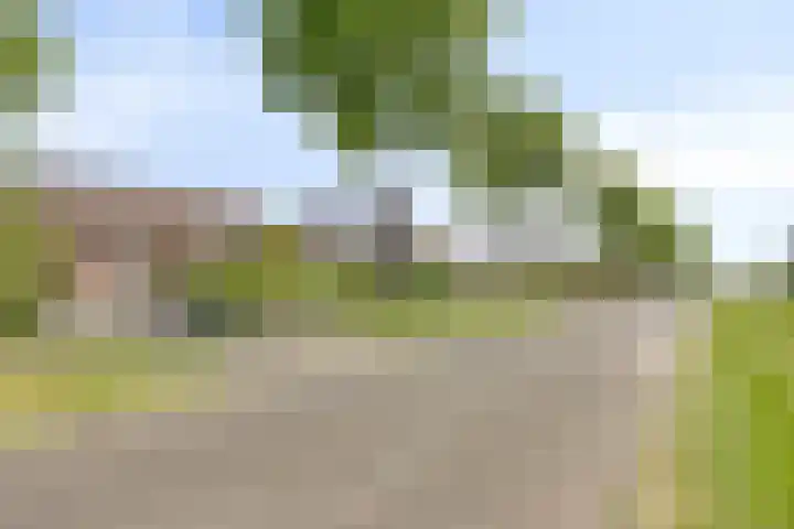 Molenwijk OZ 35 Klazienaveen thumbnail 23