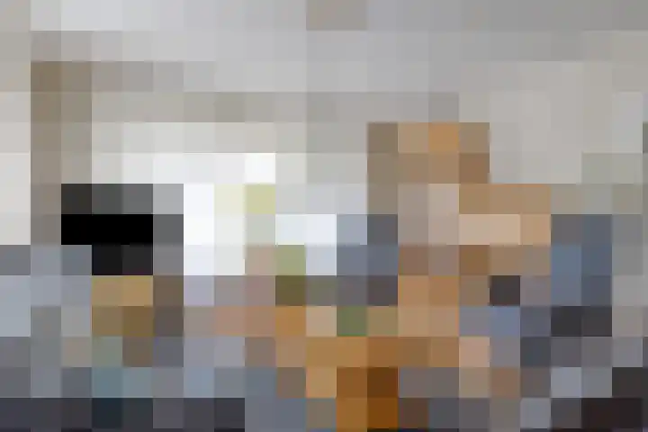 Molenwijk OZ 35 Klazienaveen thumbnail 4