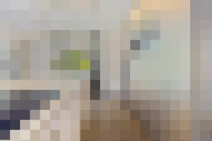 Molenwijk OZ 42 Klazienaveen thumbnail 12