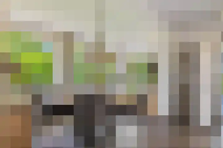 Molenwijk OZ 42 Klazienaveen thumbnail 15