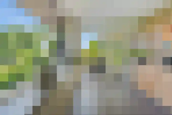 Molenwijk OZ 42 Klazienaveen thumbnail 17