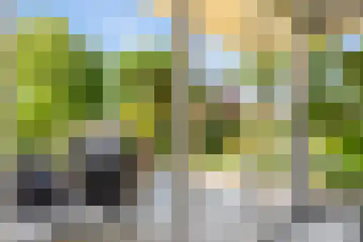 Molenwijk OZ 42 Klazienaveen thumbnail 18