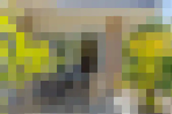 Molenwijk OZ 42 Klazienaveen thumbnail 19