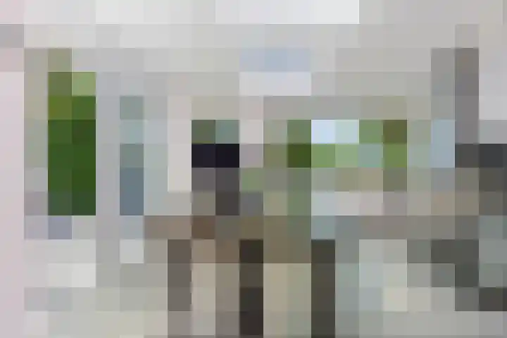 Molenwijk OZ 42 Klazienaveen thumbnail 20