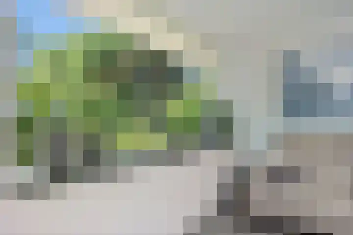 Molenwijk OZ 42 Klazienaveen thumbnail 22