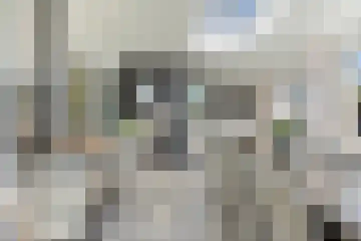 Molenwijk OZ 42 Klazienaveen thumbnail 23