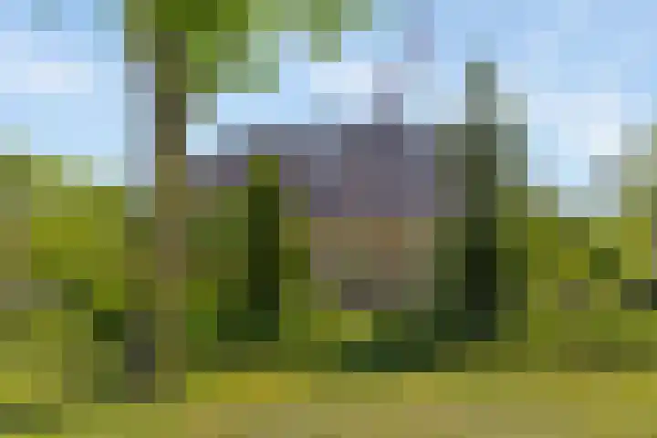 Molenwijk OZ 42 Klazienaveen thumbnail 43