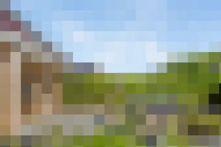 Molenwijk OZ 42 Klazienaveen thumbnail 46