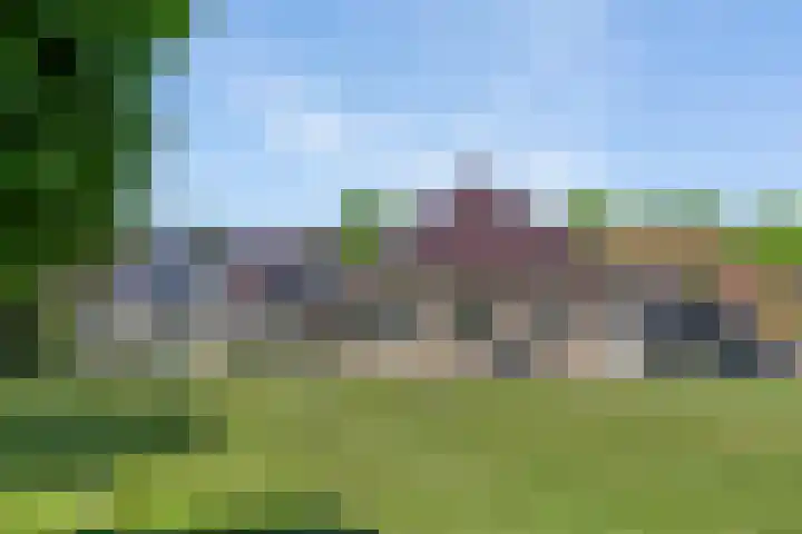 Molenwijk OZ 42 Klazienaveen thumbnail 50