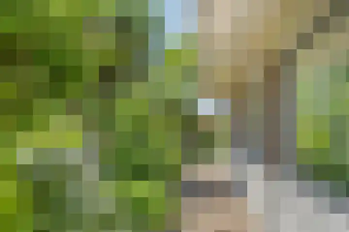 Molenwijk OZ 42 Klazienaveen thumbnail 53