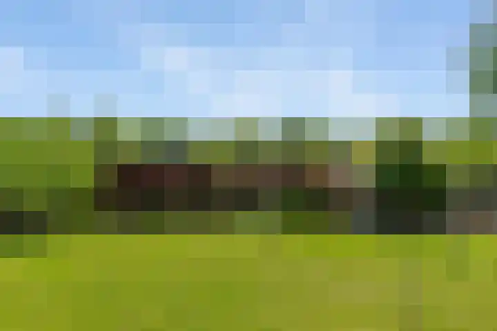 Molenwijk OZ 42 Klazienaveen thumbnail 54