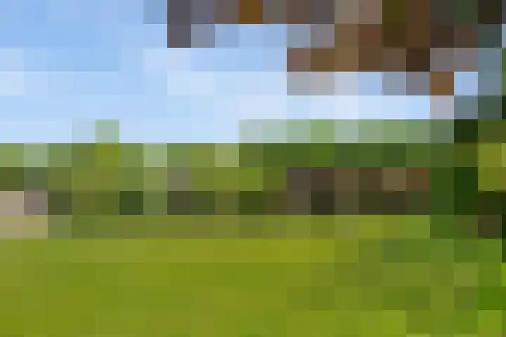 Molenwijk OZ 42 Klazienaveen thumbnail 55