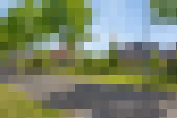 Molenwijk OZ 42 Klazienaveen thumbnail 56