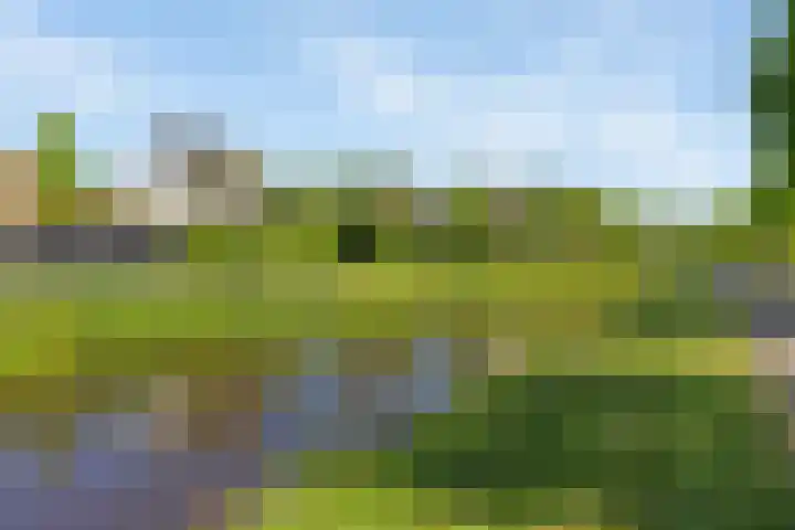 Molenwijk OZ 42 Klazienaveen thumbnail 57