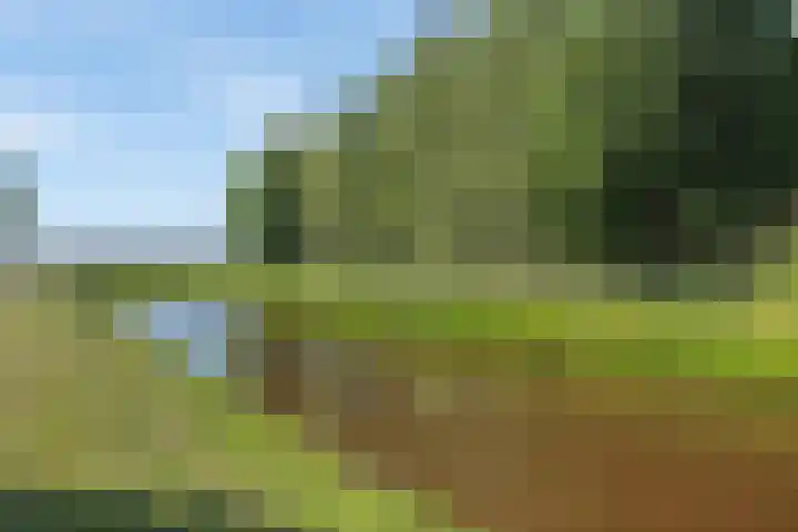 Molenwijk OZ 42 Klazienaveen thumbnail 58