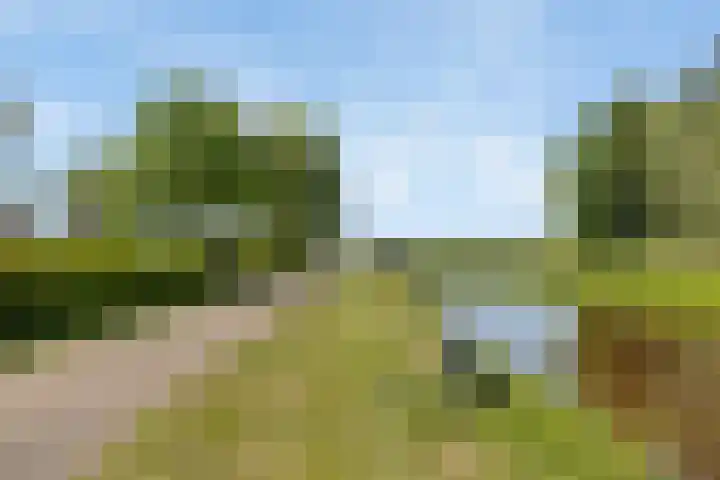 Molenwijk OZ 42 Klazienaveen thumbnail 59