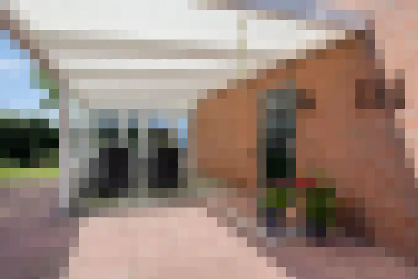 Molenwijk OZ 55 Klazienaveen thumbnail 17