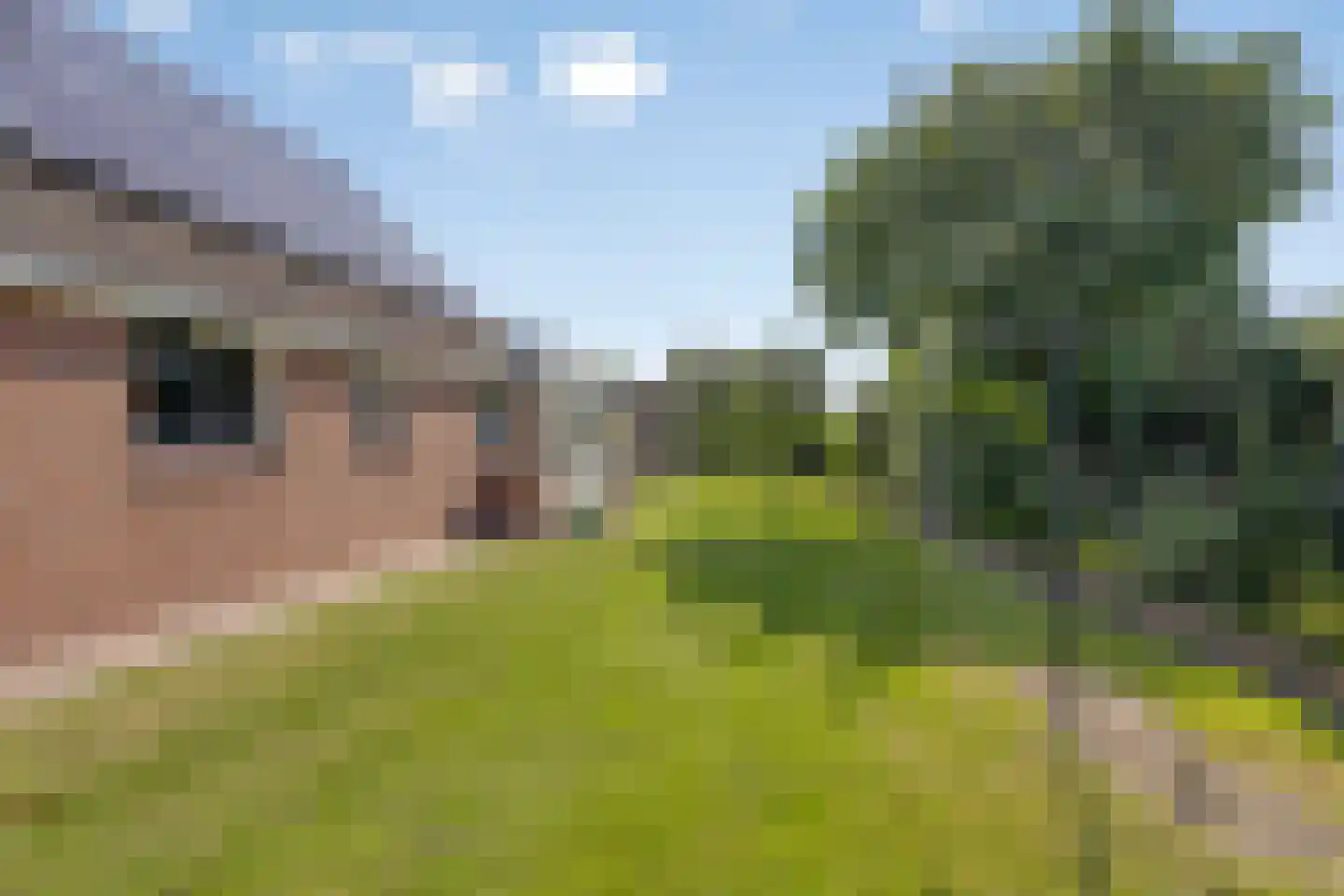 Molenwijk OZ 55 Klazienaveen thumbnail 20