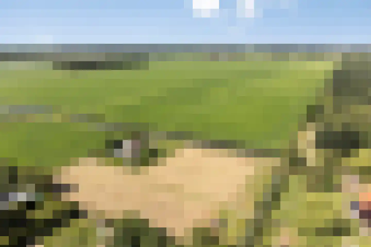 Molenwijk OZ 55 Klazienaveen thumbnail 32
