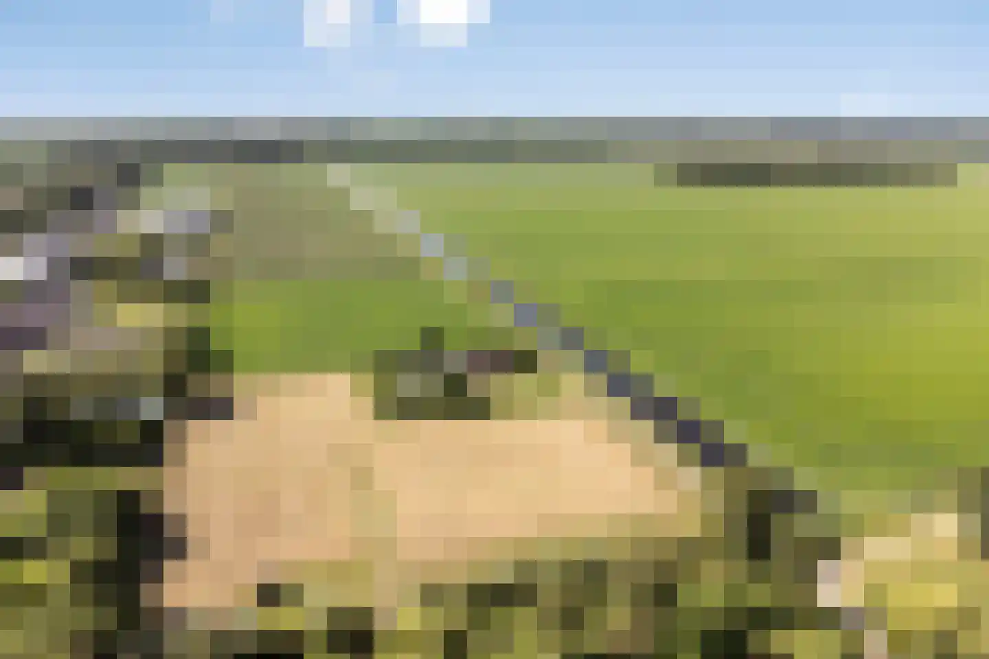Molenwijk OZ 55 Klazienaveen thumbnail 33