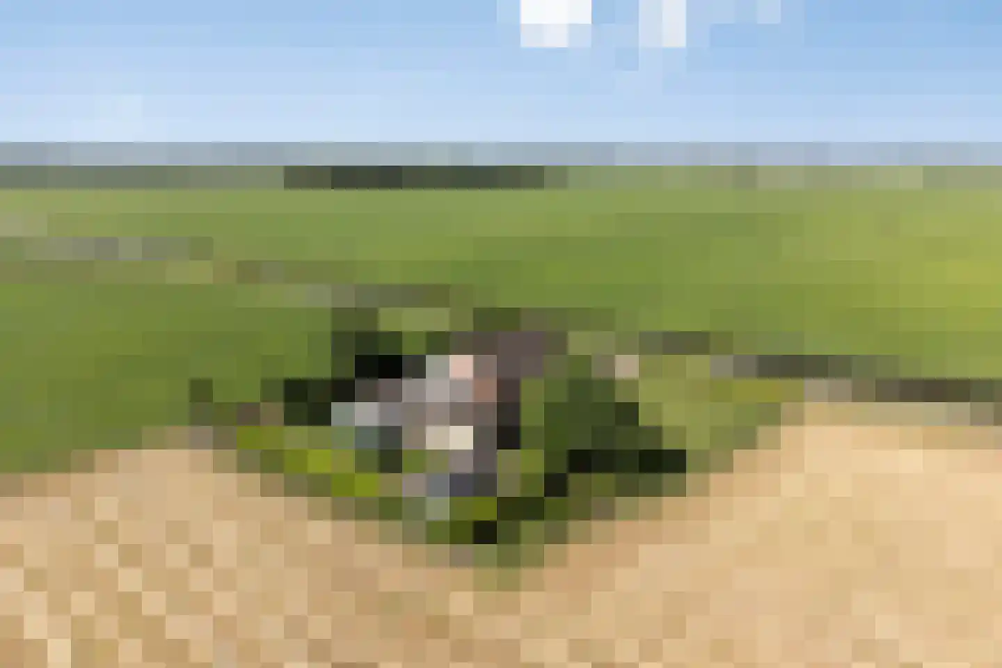 Molenwijk OZ 55 Klazienaveen thumbnail 34