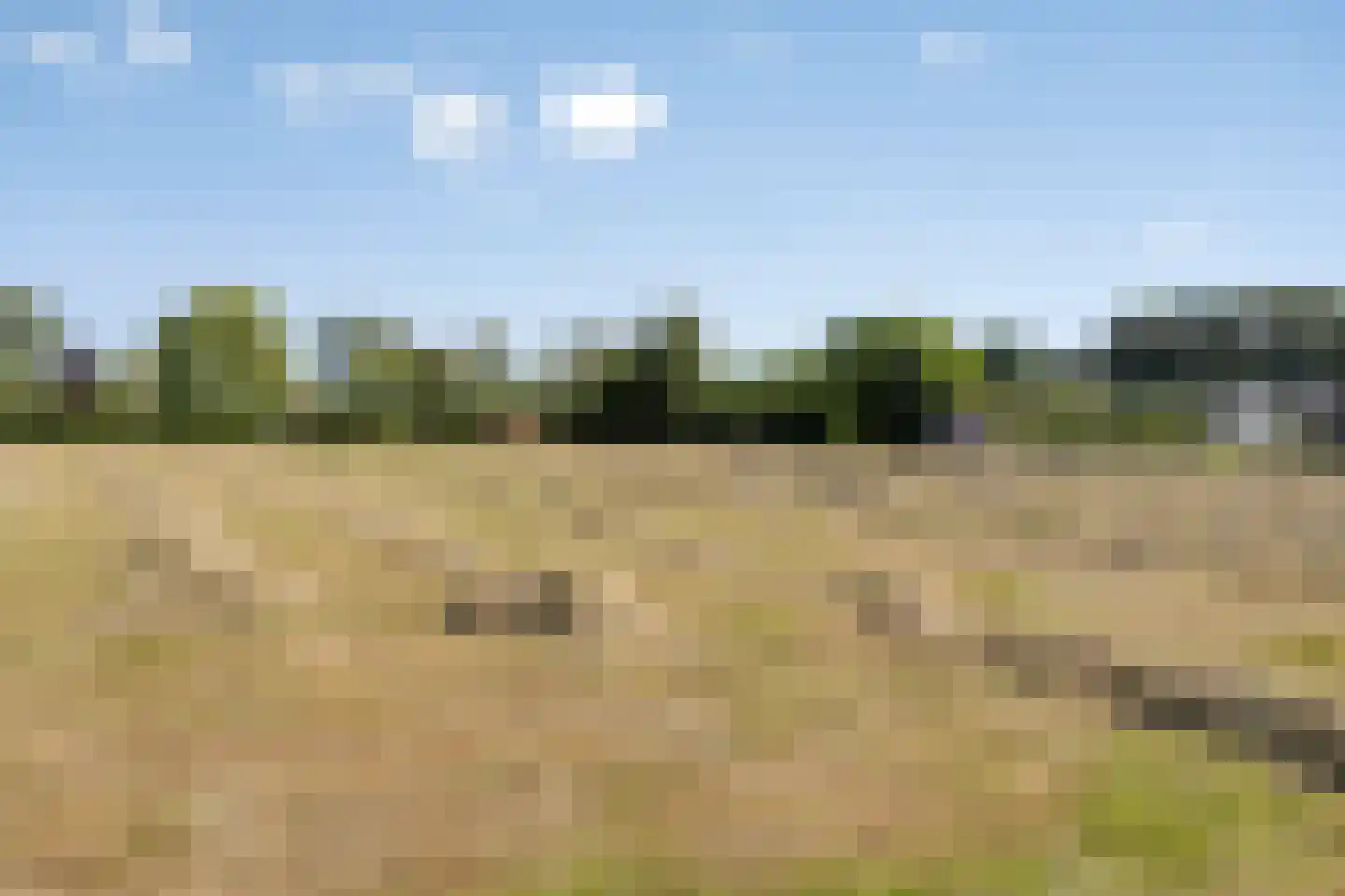 Molenwijk OZ 55 Klazienaveen thumbnail 37