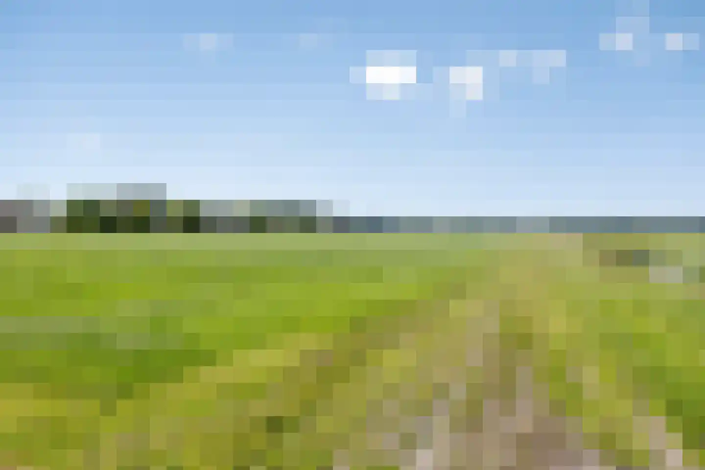 Molenwijk OZ 55 Klazienaveen thumbnail 38