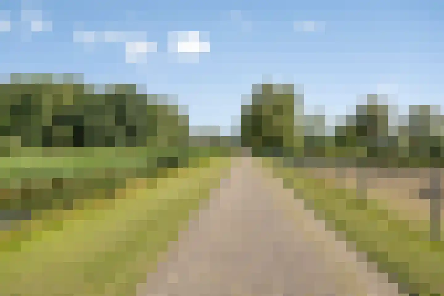 Molenwijk OZ 55 Klazienaveen thumbnail 41