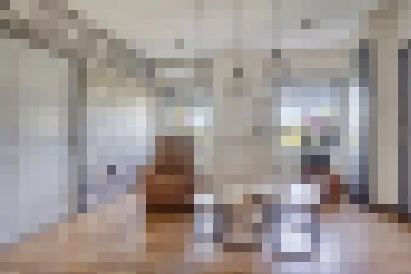 Molenwijk OZ 55 Klazienaveen thumbnail 5
